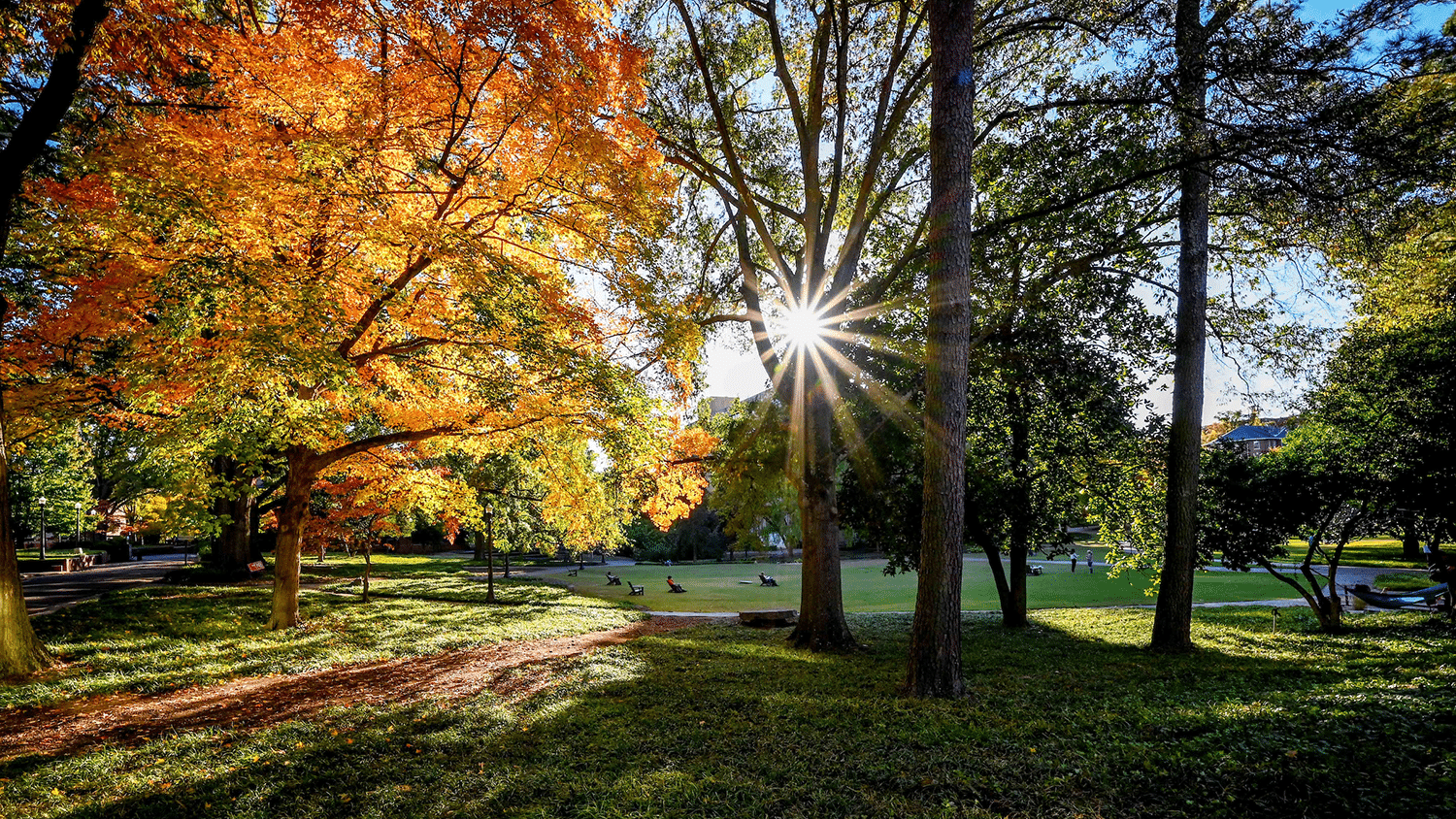 The sun shines through the Court of North Carolina on a sunny day.