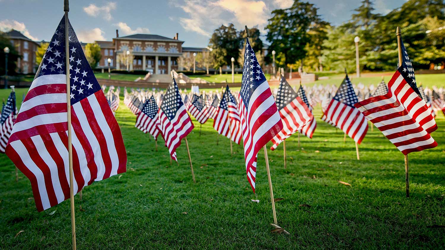 Flags planted on the Court of North Carolina to honor Veterans Day.