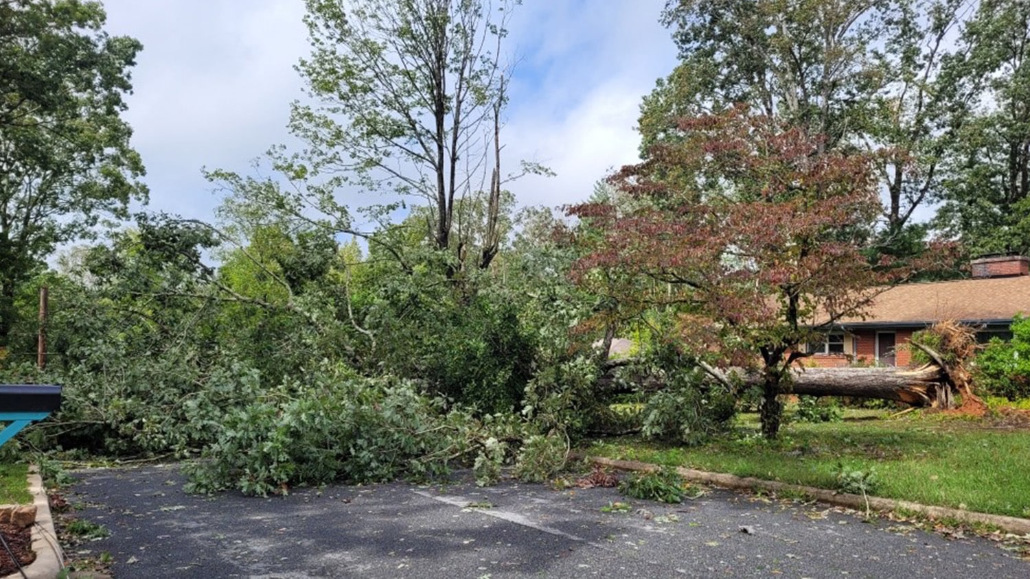 A fallen tree blocks a neighborhood street in western North Carolina.